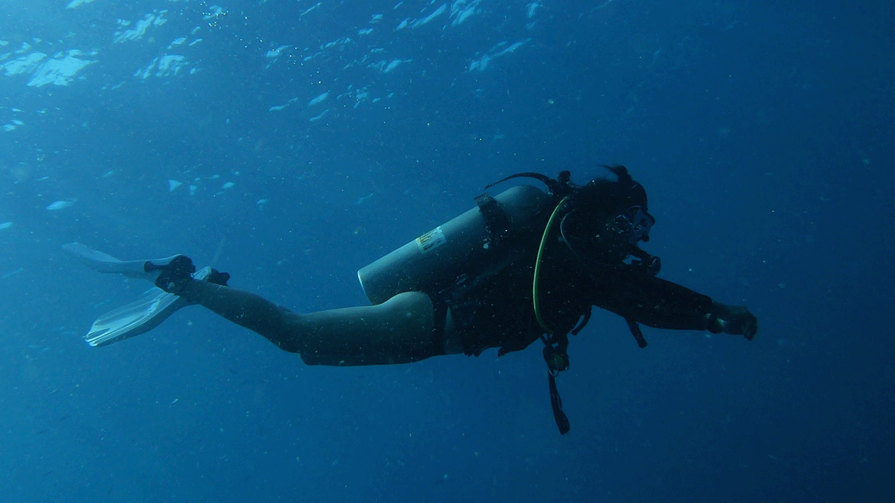 A person with diving gear swimming in the ocean