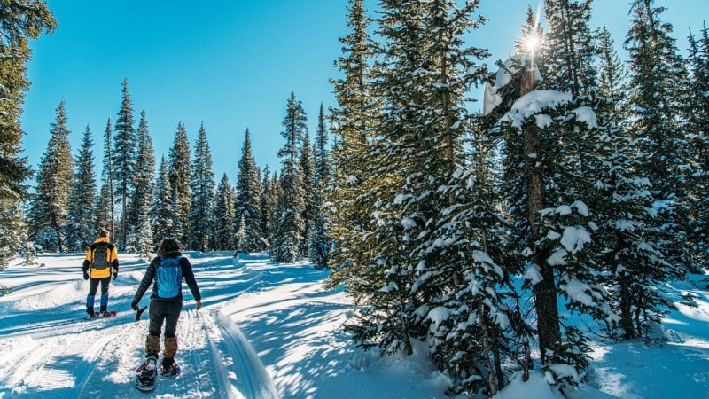 Adult hikers snowshoeing on snowy trail