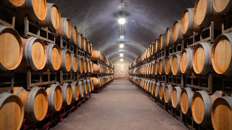 View of an underground wine cellar with barrels stacked on either side