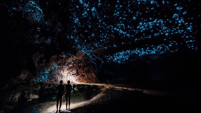 Glow worm sky in the Waipu Cave, New Zealand