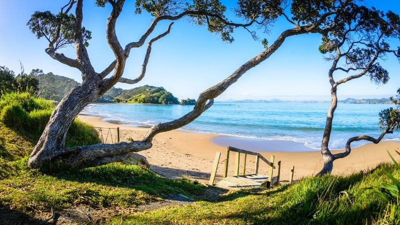 Sunrise at Wellington Bay beach in New Zealand