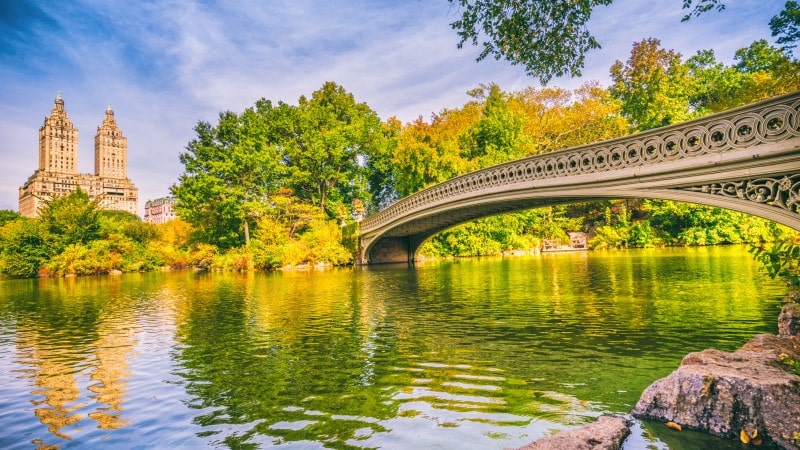 View of Bow Bridge in Central Park in autumn
