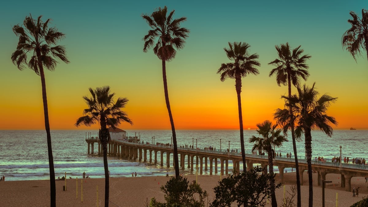 Manhattan Beach palm trees and pier at sunset in Los Angeles